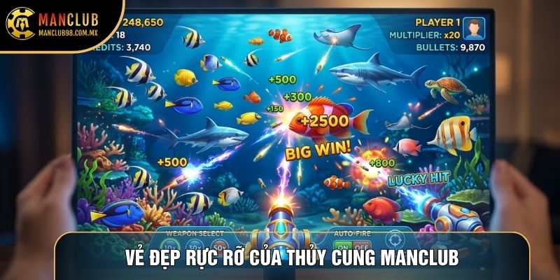 Vẻ đẹp rực rỡ của thủy cung Manclub